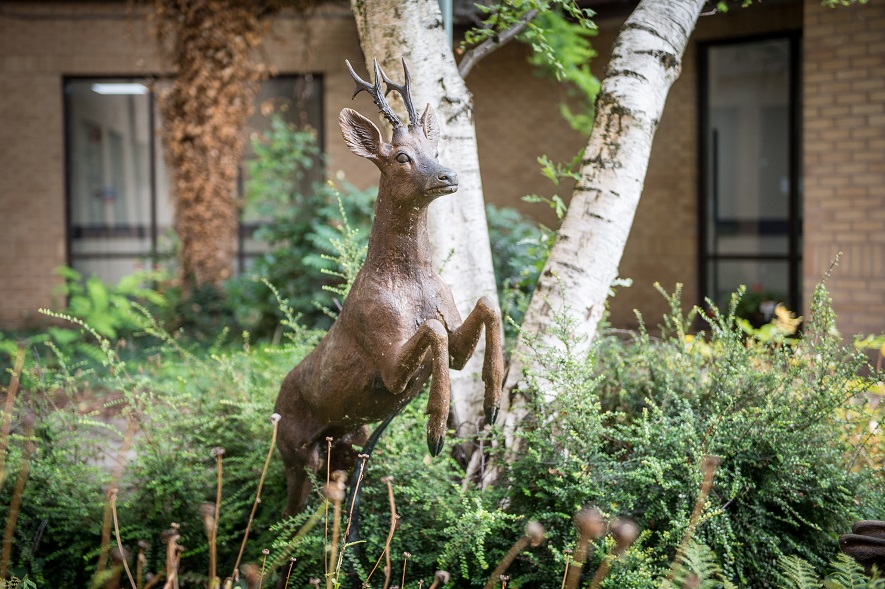 Memory Garden – Near Stroke Ward Memory Garden - Near Stroke Ward