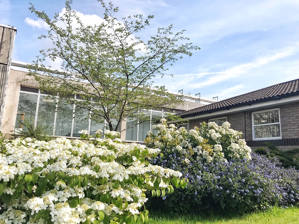 Queen Mother Garden – Near Elizabeth House