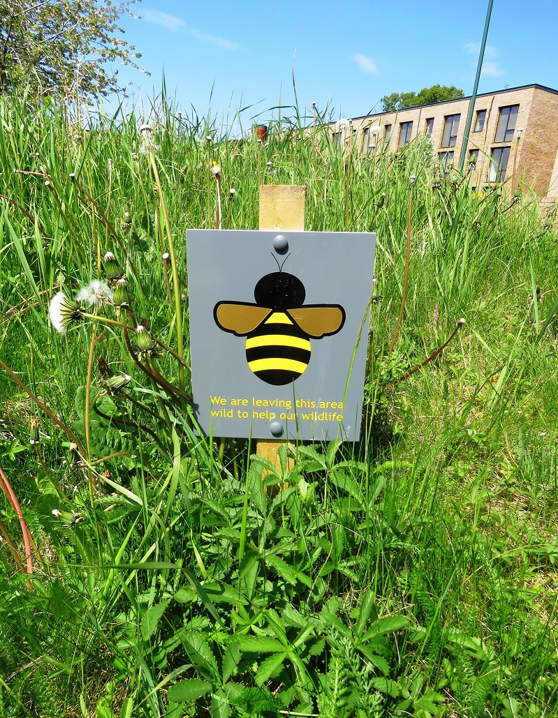 Wildlife Area Near Stretton House