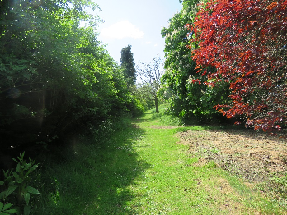Wildlife Garden – Behind Public Car Park Near Main Entrance