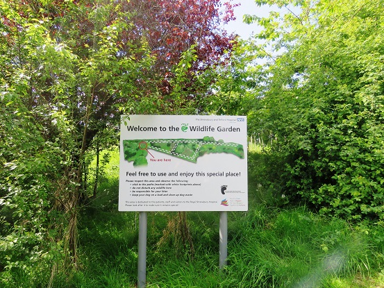 WildlifeGarWildlife Garden – Behind Public Car Park Near Main Entranceden2